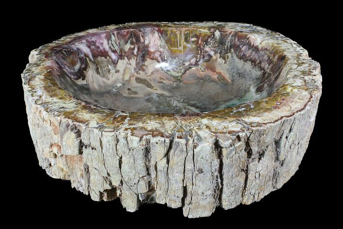 Wide Polished Petrified Wood Bowl - lbs #95081